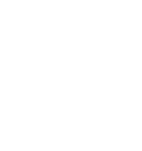 Responsible Party