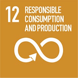 SDG 12 logo - Responsible Consumption and Production