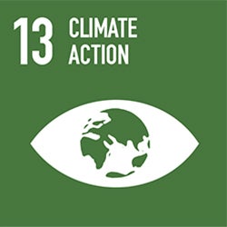 SDG 13 logo - Climate Action