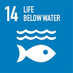 SDG 14 logo - Life Below Water