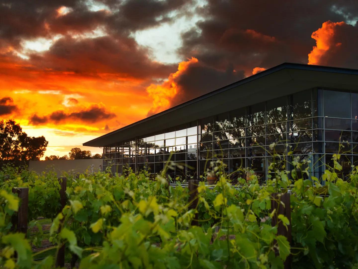 Jacob's Creek brand home in the Barossa Valley, Australia.