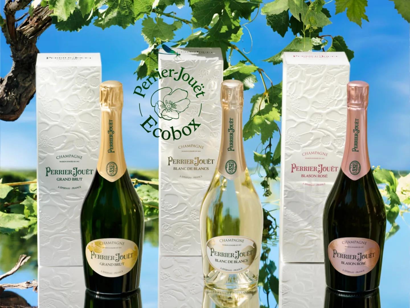 Three bottles in a row with eco-friendly packaging behind with vines and blue sky in the background