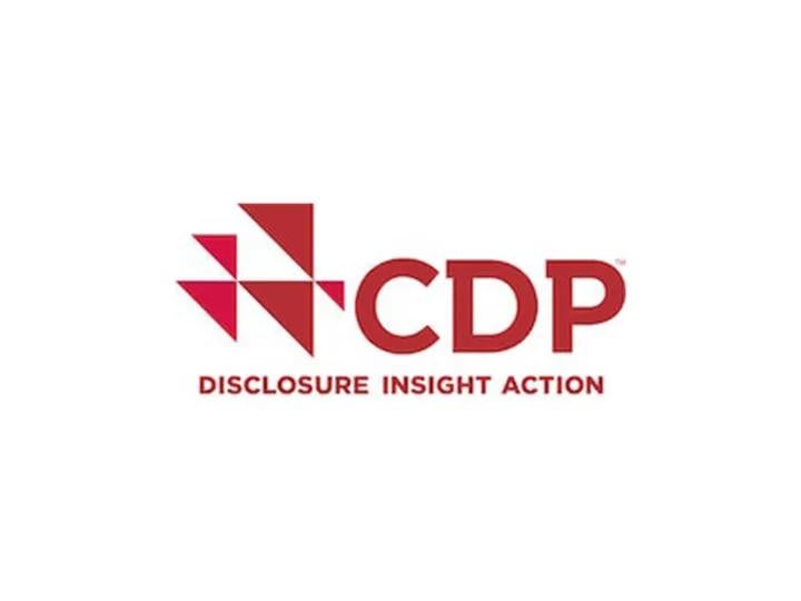 CDP logo